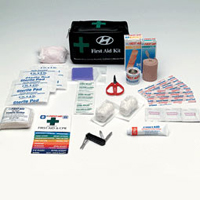 Hyundai Entourage First Aid Kit - 00261-02000